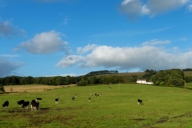 bishopcleugh guest house 1